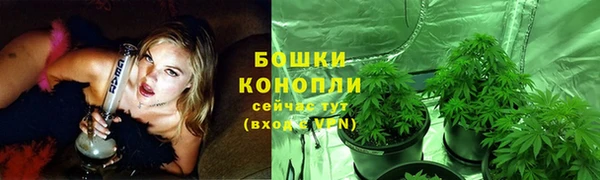 гидра Белоозёрский