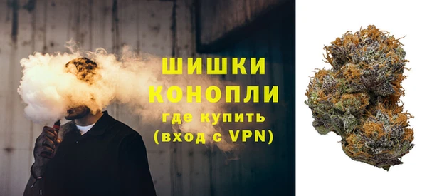 винт Белокуриха