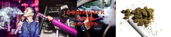 гидра Белоозёрский